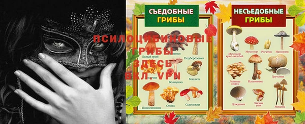 тгк Алексеевка